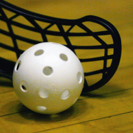 Školní florbalová liga