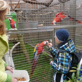 Papouščí ZOO