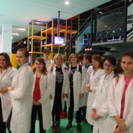 Vida science centrum