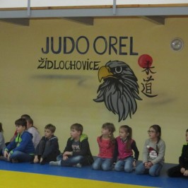 Ukázka sebeobrany – Judo