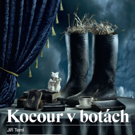 Kocour v botách – 2. ročník