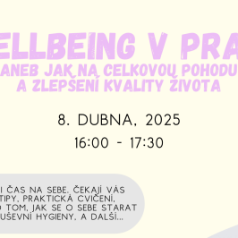 Wellbeing v praxi